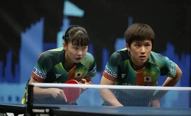 适度和功能 适度和功能